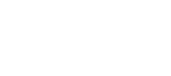 Kite 2